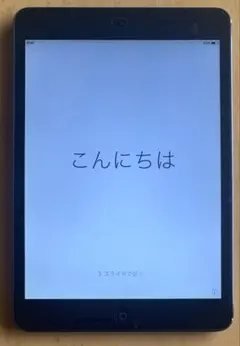 Apple iPad mini 第1世代 16GB A1432 ブラック