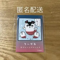 TSUTAYA限定 치이카와 セイレーンといっしょ イラストカード 特典