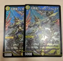 デュエルマスターズ 刀剣猫のワフソン & 光夢龍フィオナ・フォレスト2