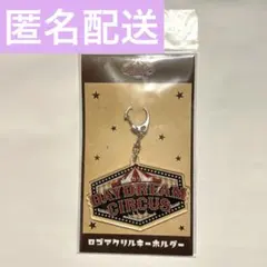 【DDC】アクキー ワイテルズ