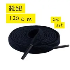 靴紐2本 スニーカー 紺色 シューレース 平紐 靴ひも 120cm