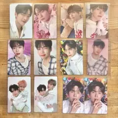 ZEROBASEONE ハンビン ゆらゆら 封入＆店舗特典 12枚セット