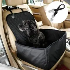 Item thumbnail for item c674e751-52ec-44bb-a970-7511de0bb7da