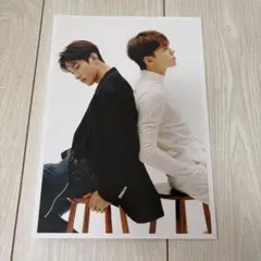 SEVENTEEN ドギョム バーノン anan 付録 ポストカード