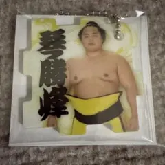 大相撲 ガチャ つながるパズルキーホルダー 琴勝峰　未開封