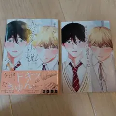 まるで、恋愛小説のような 綿レイニ