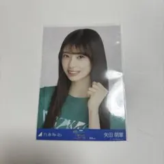 乃木坂46 矢田萌華 宮城　ライブT 生写真 ヨリ