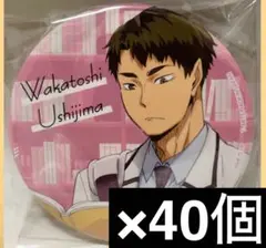 ハイキュー‼︎　カラパレ　より道　缶バッジ　牛島若利　40個セット