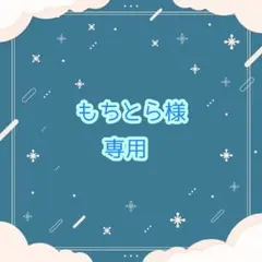 【もちとら様専用】