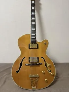 2026年最新】epiphone emperorの人気アイテム - メルカリ