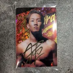 Item thumbnail for item 89910e2a-40d9-4244-b033-37e79506572c