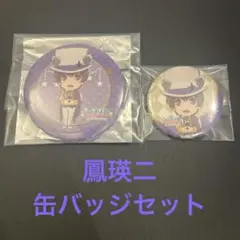2026年最新】鳳瑛二 缶バの人気アイテム - メルカリ