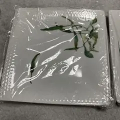 Noritake 植物模様の皿 2枚セット