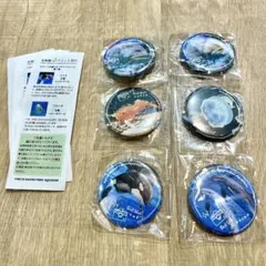 名古屋港水族館 水族館deクルッと寄付 返礼品 缶バッジ シャチ リン