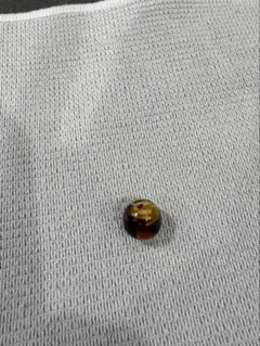 やまだ様専用！！虎琥珀10mm親玉