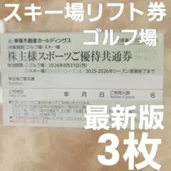 【最新】スキー場リフト券 スポーツご優待共通券 東急不動産ホールディングス 3枚