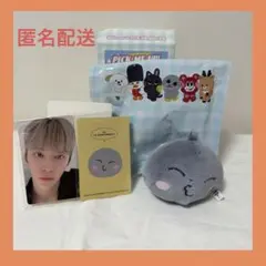 2025年最新】ソンヨンドリの人気アイテム - メルカリ