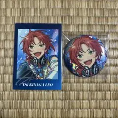 2026年最新】ぱしゃっつ レオの人気アイテム - メルカリ