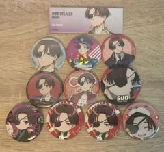 蘇枋隼飛 缶バッジ 11点セット