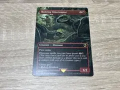 MTG 狩りをするヴェロキラプトル 英語版 ミントモール / MINT GAMES MTG(東日本橋) / 【REX】【ENG
