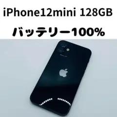 iphone 12mini 256 100%