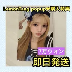 最安値】Lemon Tang H2H アルバム 封入 ジウ トレカ z - メルカリ