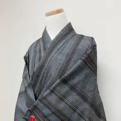 小紋　縦縞模様　カラフル　亀甲　ネイビー　レッド裏地　着物　111t