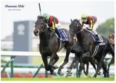 2025年最新】ウマ娘 ポストカードの人気アイテム - メルカリ