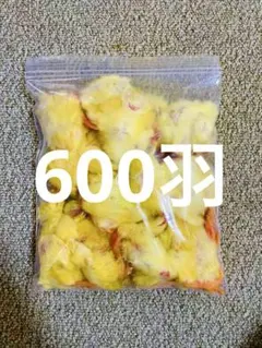 リピート購入、複数購入で＋10羽 送料無料 国産 新鮮安全 冷凍ひよこ 600羽 リピート購入で＋10羽】 送料無料 国産 新鮮安全 冷凍ひよこ 700羽