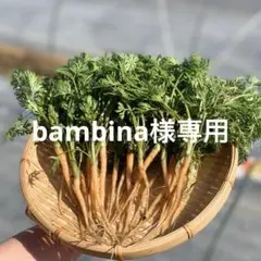 bambina様専用