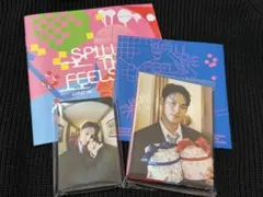 【新品】SEVENTEEN STF carat盤 ミンギュ