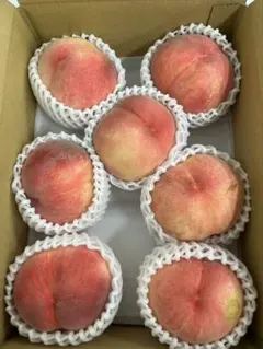 9だて白桃1.8kg「硬めの桃です！」山形県産 訳あり - メルカリ