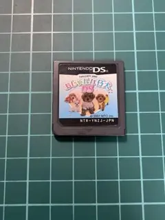 任天堂 DS ソフト　おしゃれな仔犬DS