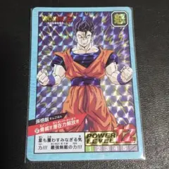 ドラゴンボールZ 孫悟飯 スーパーバトルカード(スリーブ付き)