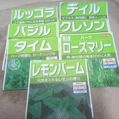 ハーブの種　7種類　家庭菜園　クレソン