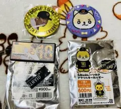 Item thumbnail for item 8a54ac92-5cea-4fc3-910d-05cf44cbd82c