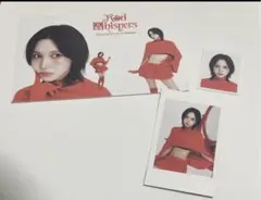 TWICE シーグリ　2026 ミナ　ポラロイド　ポストカード　証明写真