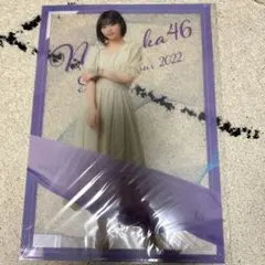 Item thumbnail for item 803b27a3-cacd-4f79-9d0d-38f97ac8b8a9