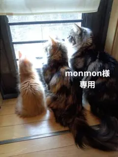monmon様専用です♪︎お取り置き