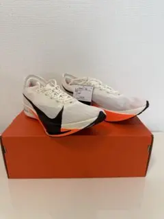 Item thumbnail for item 4bc25c00-3137-4b60-aaff-8f3afb7ab103