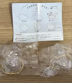 うちの子のけだまだま ポメラニアン 丸たれみみ