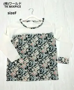 Item thumbnail for item fc54c1ba-b032-4336-a4e8-36af47dcc2ed