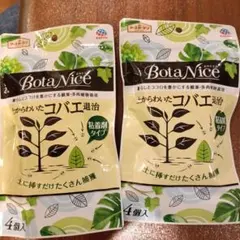 BotaNice 土からわいたコバエ退治 粘着剤タイプ 4個入
