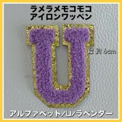 U【モコモコ×キラキラ】カラフル◇アルファベットワッペン 約6cm◇推し活にも◎