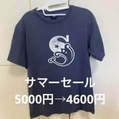 Stussy Tシャツ　smallサイズ