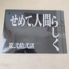 エヴァンゲリオン 30th Anniversaryクリアファイル1番くじG賞