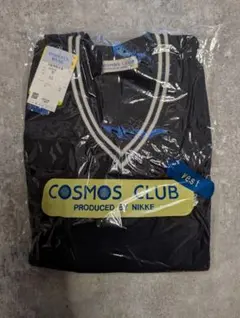 Item thumbnail for item 4f6bb9bc-f73d-40c4-8aac-e2645196913a