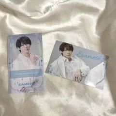 Item thumbnail for item e049d455-1f84-4c29-a853-5274f0331213