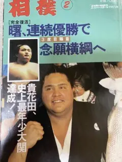 相撲 1993年2月　初場所総決算号