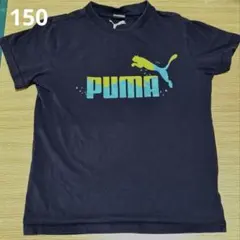 プーマ　半袖シャツ 150